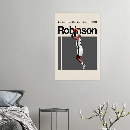 Modern minimalist David Robinson poster